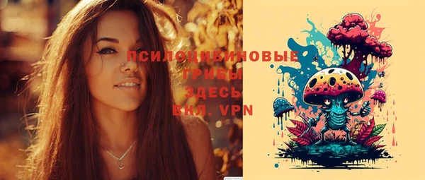 соль ск Балабаново